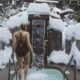 woman walking into an outdoor spa surrounded by snow in winter - Whiski Jack Resorts Whistler