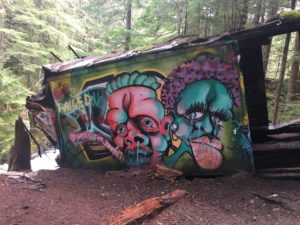 train wreck in whistler, BC